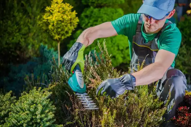 landscaping services Lewiston
